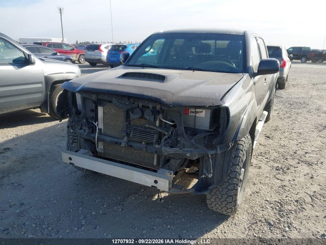 Продаж на аукціоні авто 2009 Toyota Tacoma V6, vin: 5TEMU52N39Z670540, номер лоту: 12707932