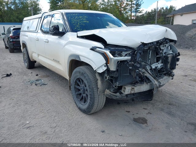 Продаж на аукціоні авто 2023 Toyota Tundra Sr5, vin: 5TFLA5GD9PX002296, номер лоту: 12708020