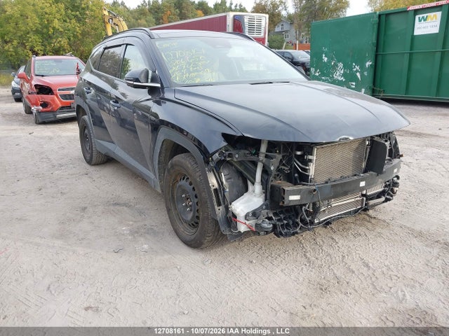 KM8JDDD28RU206650 auction archive image