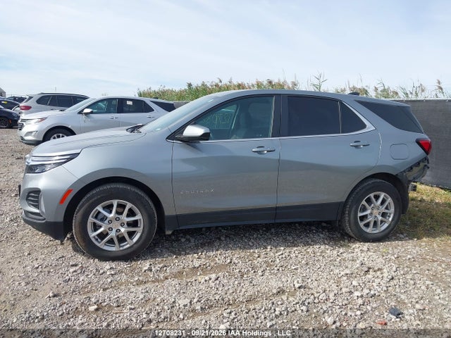 Продаж на аукціоні авто 2024 Chevrolet Equinox Lt, vin: 3GNAXUEG6RS230605, номер лоту: 12708231