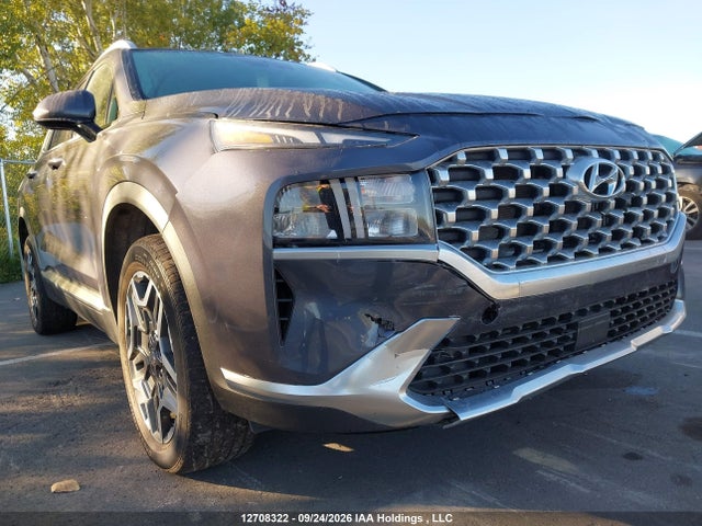 Hyundai Santa Fe 2022 KM8S7DA23NU017138 Image 6