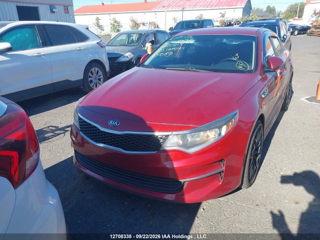 2016 Kia Optima Lx/lx+ მანქანა იყიდება აუქციონზე, vin: 5XXGT4L33GG081605, აუქციონის ნომერი: 12708338