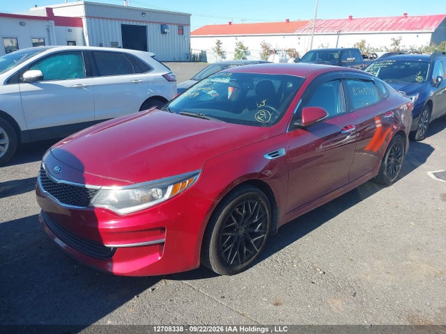 2016 Kia Optima Lx/lx+ მანქანა იყიდება აუქციონზე, vin: 5XXGT4L33GG081605, აუქციონის ნომერი: 12708338