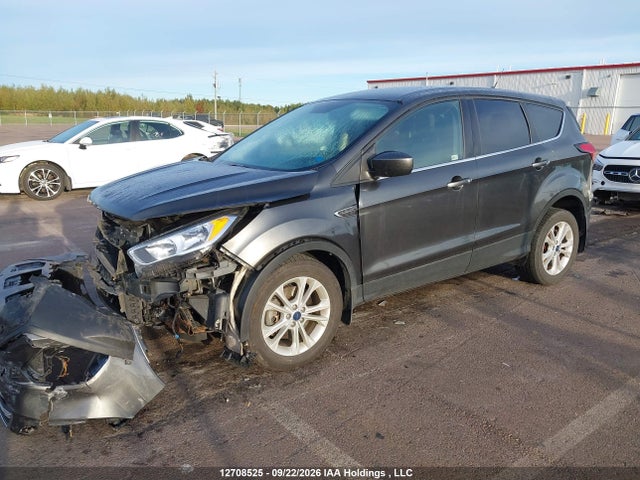 Ford ESCAPE SE 2019 1FMCU9GD5KUC40473 Image 2