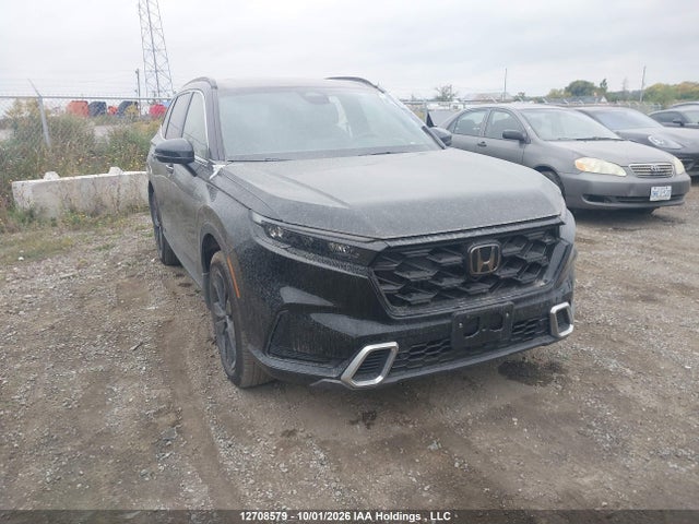 Продаж на аукціоні авто 2025 Honda Cr-v Sport Touring, vin: 2HKRS6H99SH234361, номер лоту: 12708579