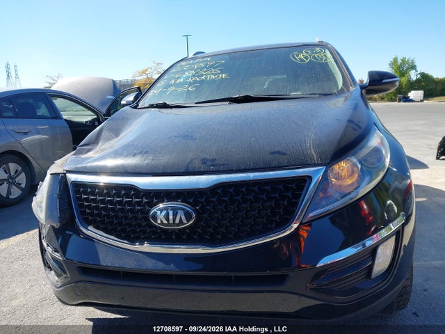 Продаж на аукціоні авто 2015 Kia Sportage Lx, vin: KNDPBCAC0F7688326, номер лоту: 12708597