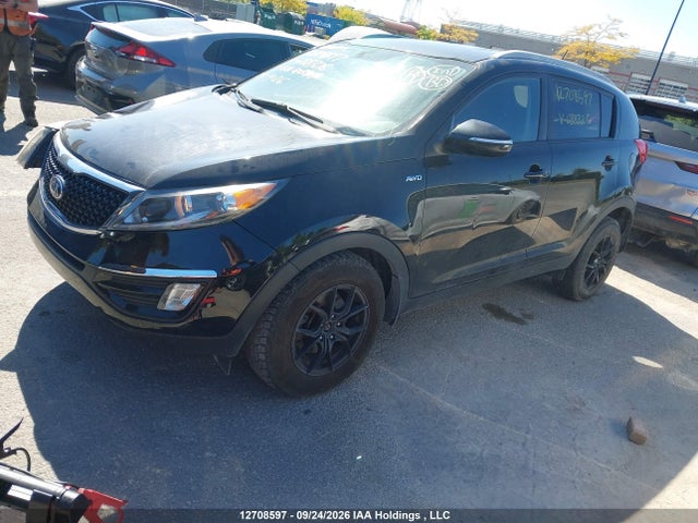 Продаж на аукціоні авто 2015 Kia Sportage Lx, vin: KNDPBCAC0F7688326, номер лоту: 12708597