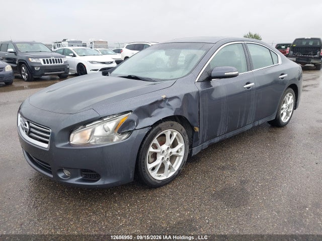 12686950 :رقم المزاد ، 1N4AA5APXCC844923 vin ، 2012 Nissan Maxima 3.5 Sv مزاد بيع