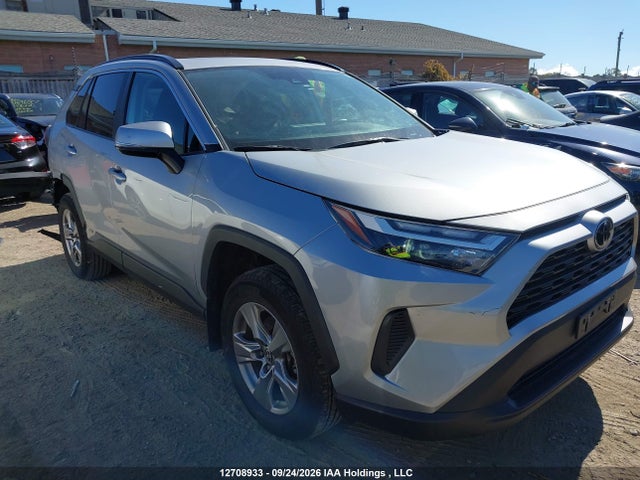 Auction sale of the 2025 Toyota Rav4, vin: 2T3RWRFV1SW290180, lot number: 12708933