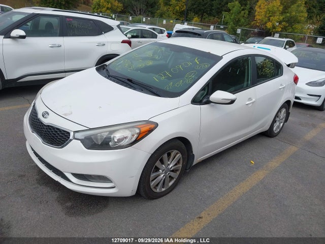 Продаж на аукціоні авто 2014 Kia Forte, vin: KNAFX4A68E5058235, номер лоту: 12709017
