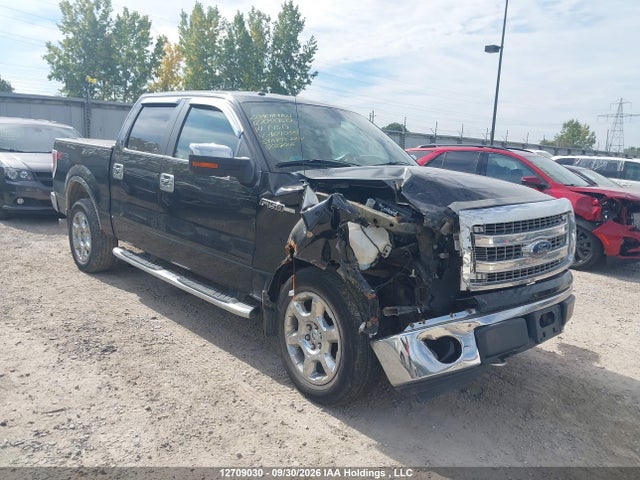 12709030 :رقم المزاد ، 1FTFW1EF3EFA64095 vin ، 2014 Ford F150 Supercrew مزاد بيع