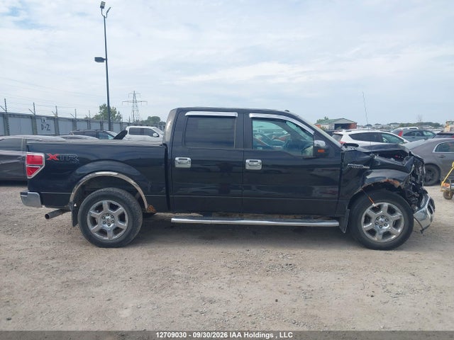 12709030 :رقم المزاد ، 1FTFW1EF3EFA64095 vin ، 2014 Ford F150 Supercrew مزاد بيع