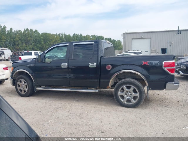 12709030 :رقم المزاد ، 1FTFW1EF3EFA64095 vin ، 2014 Ford F150 Supercrew مزاد بيع