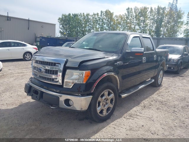 12709030 :رقم المزاد ، 1FTFW1EF3EFA64095 vin ، 2014 Ford F150 Supercrew مزاد بيع
