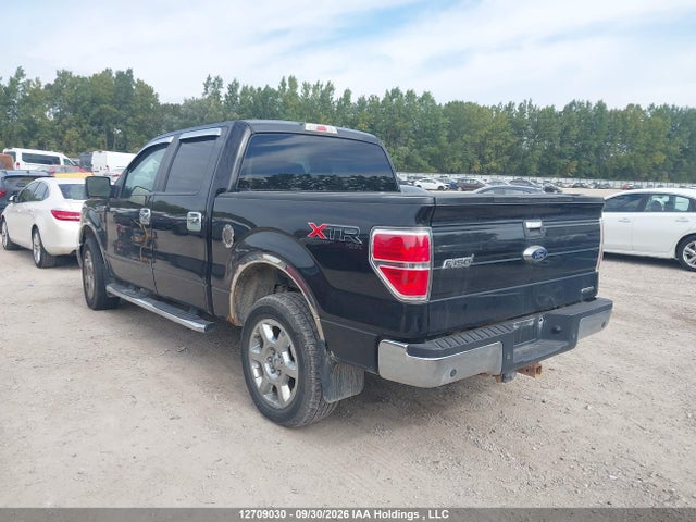12709030 :رقم المزاد ، 1FTFW1EF3EFA64095 vin ، 2014 Ford F150 Supercrew مزاد بيع
