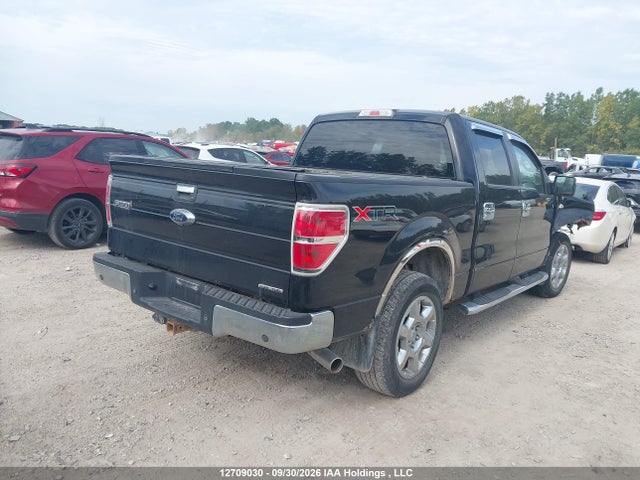 12709030 :رقم المزاد ، 1FTFW1EF3EFA64095 vin ، 2014 Ford F150 Supercrew مزاد بيع