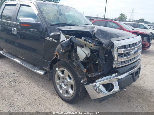 12709030 :رقم المزاد ، 1FTFW1EF3EFA64095 vin ، 2014 Ford F150 Supercrew مزاد بيع