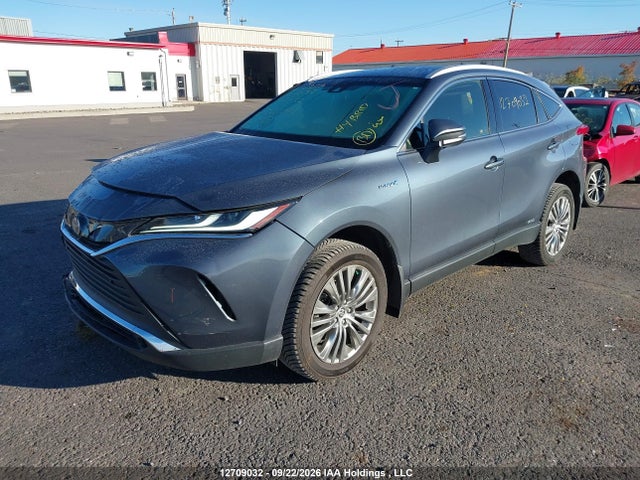 JTEAAAAH9MJ039533 Toyota Venza Xle