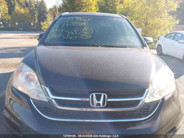 12709105 :رقم المزاد ، 5J6RE4H53AL815867 vin ، 2010 Honda Cr-v Ex مزاد بيع