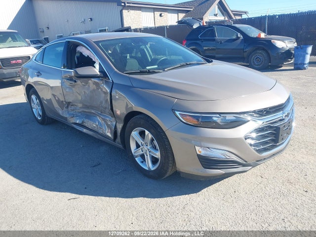 12709262 :رقم المزاد ، 1G1ZB5ST2RF226761 vin ، 2024 Chevrolet Malibu مزاد بيع