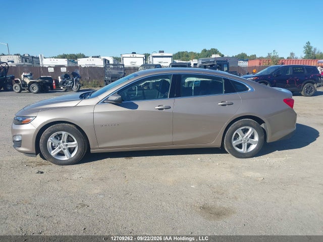 Chevrolet Malibu 2024 1G1ZB5ST2RF226761 Image 14