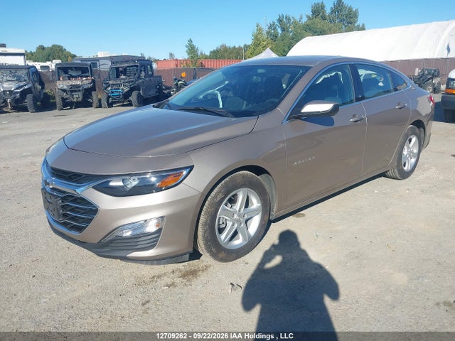 Chevrolet Malibu 2024 1G1ZB5ST2RF226761 Image 2