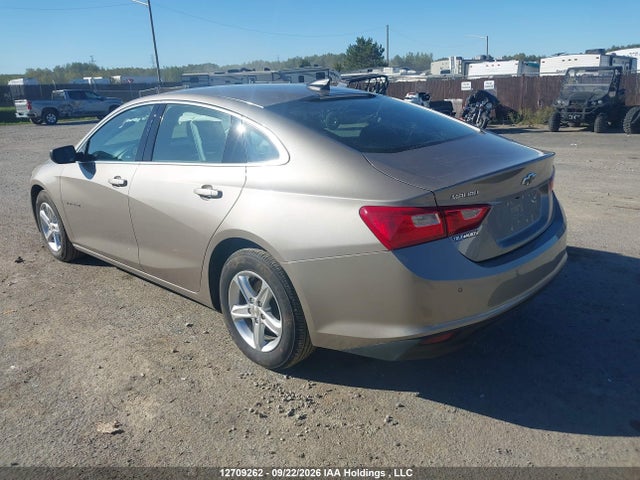 Chevrolet Malibu 2024 1G1ZB5ST2RF226761 Image 3