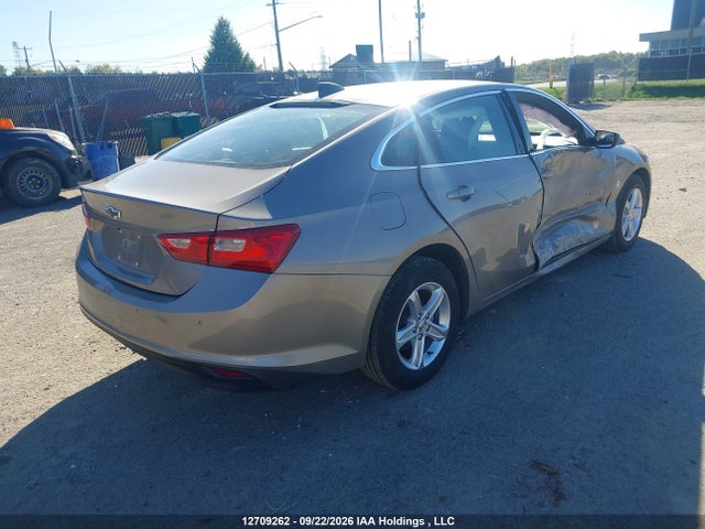 Chevrolet Malibu 2024 1G1ZB5ST2RF226761 Image 4