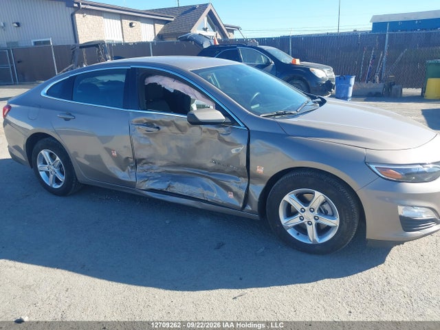 Chevrolet Malibu 2024 1G1ZB5ST2RF226761 Image 6
