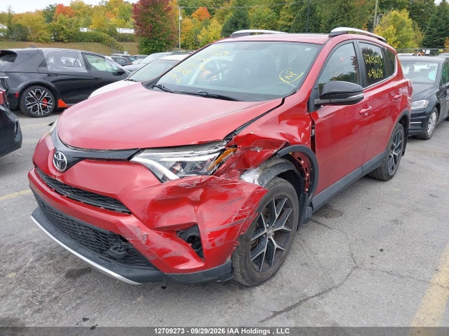 2T3JFREV9GW416534 Toyota RAV4 SE