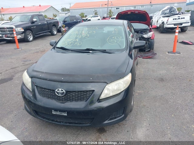 Продажа на аукционе авто 2009 Toyota Corolla S/le/xle, vin: 2T1BU40E49C034879, номер лота: 12703729