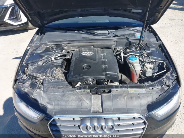 12709296 :رقم المزاد ، WAUFFCFL7DN024880 vin ، 2013 Audi A4 2.0t Premium مزاد بيع