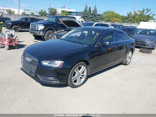 12709296 :رقم المزاد ، WAUFFCFL7DN024880 vin ، 2013 Audi A4 2.0t Premium مزاد بيع