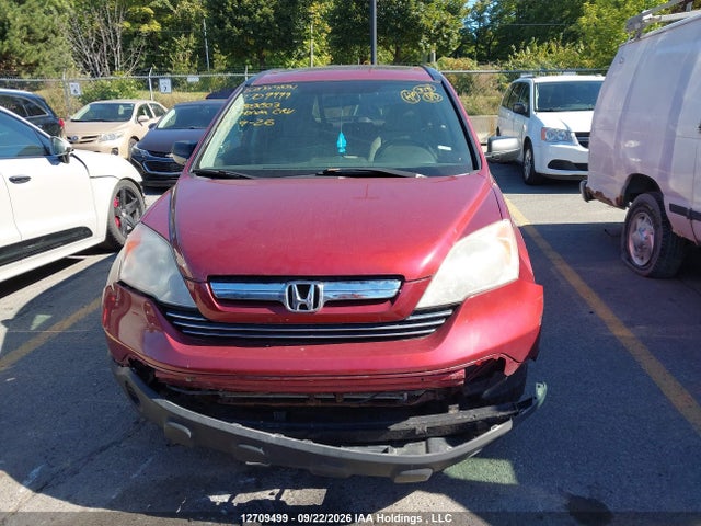 Продаж на аукціоні авто 2007 Honda Cr-v Ex, vin: 5J6RE48547L803803, номер лоту: 12709499