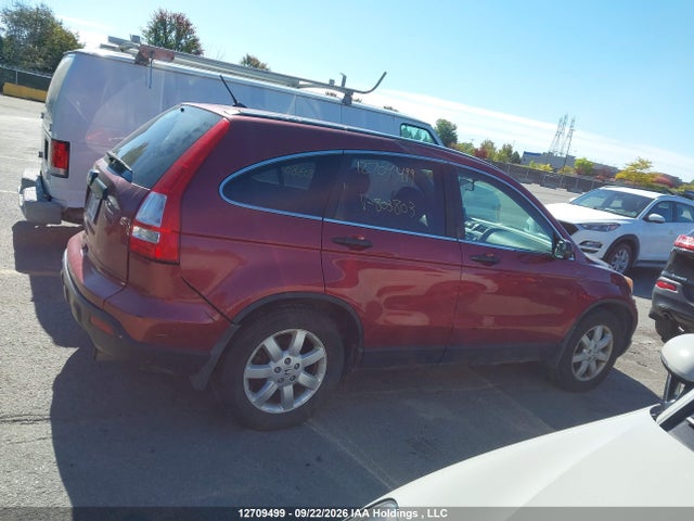 Продаж на аукціоні авто 2007 Honda Cr-v Ex, vin: 5J6RE48547L803803, номер лоту: 12709499