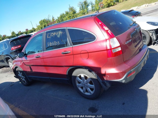 Продаж на аукціоні авто 2007 Honda Cr-v Ex, vin: 5J6RE48547L803803, номер лоту: 12709499