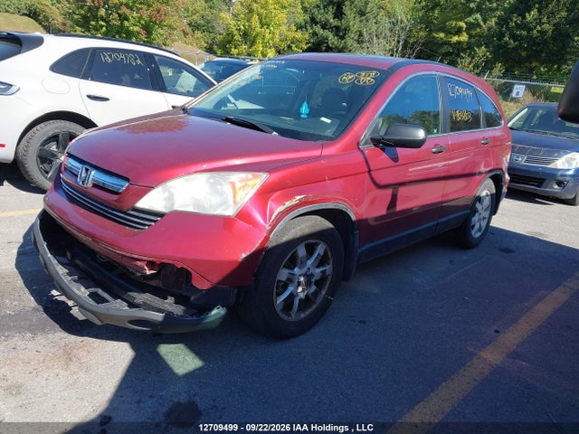 Продаж на аукціоні авто 2007 Honda Cr-v Ex, vin: 5J6RE48547L803803, номер лоту: 12709499