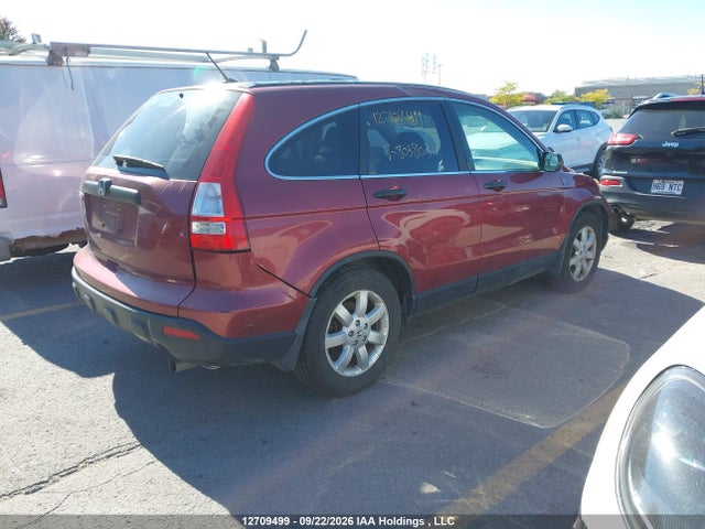 Продаж на аукціоні авто 2007 Honda Cr-v Ex, vin: 5J6RE48547L803803, номер лоту: 12709499