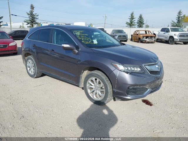 2017 Acura Rdx Technology მანქანა იყიდება აუქციონზე, vin: 5J8TB4H51HL802941, აუქციონის ნომერი: 12709599