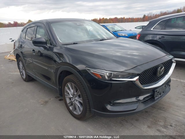 2019 JM3KFBDM5K1574629 главное изображение