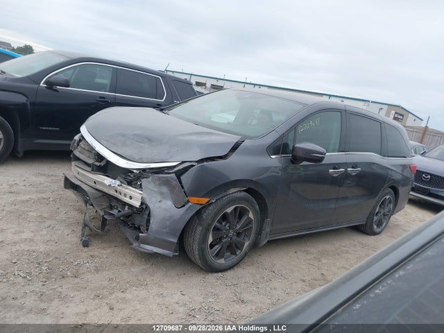 Honda Odyssey Touring 2023 5FNRL6H84PB502243 Image 15