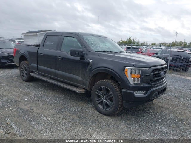 Продаж на аукціоні авто 2021 Ford F-150 Xlt, vin: 1FTFW1E80MFA96230, номер лоту: 12709755