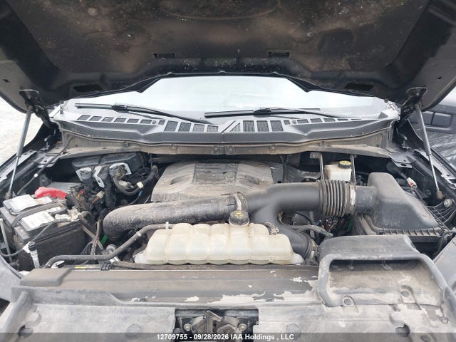 2021 Ford F-150 Xlt მანქანა იყიდება აუქციონზე, vin: 1FTFW1E80MFA96230, აუქციონის ნომერი: 12709755