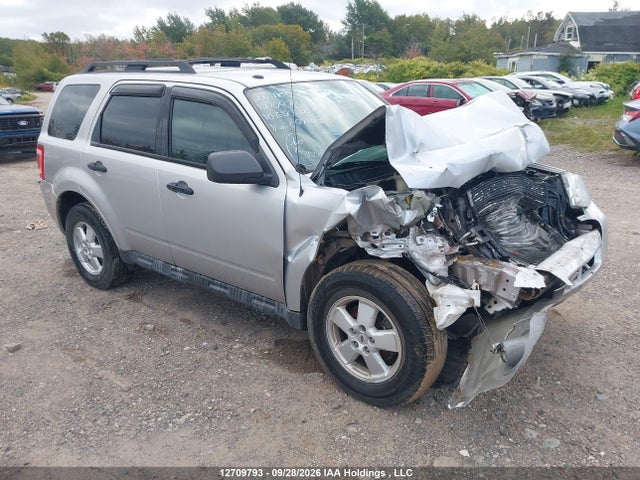Продаж на аукціоні авто 2010 Ford Escape Xlt, vin: 1FMCU9D74AKC97403, номер лоту: 12709793