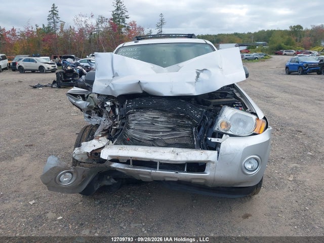 Продаж на аукціоні авто 2010 Ford Escape Xlt, vin: 1FMCU9D74AKC97403, номер лоту: 12709793
