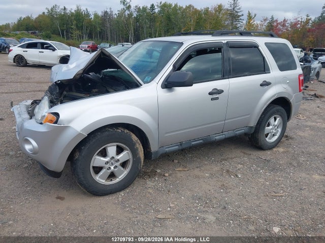Продаж на аукціоні авто 2010 Ford Escape Xlt, vin: 1FMCU9D74AKC97403, номер лоту: 12709793