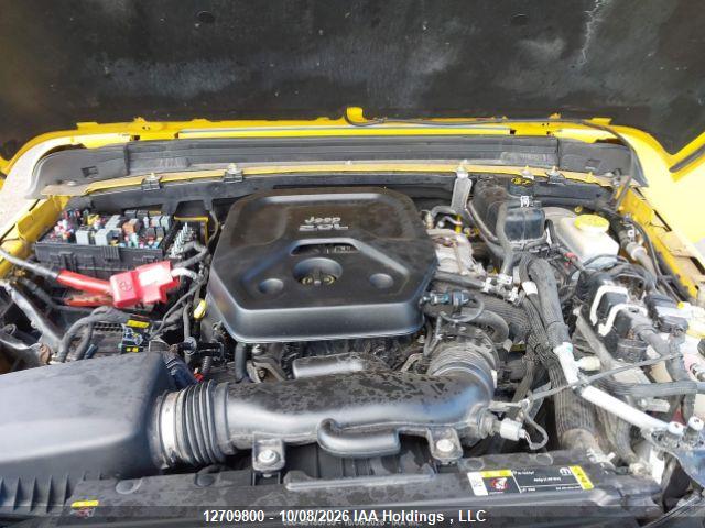 Продаж на аукціоні авто 2021 Jeep Wrangler Unlimited Sahara, vin: 1C4HJXEN2MW620249, номер лоту: 12709800