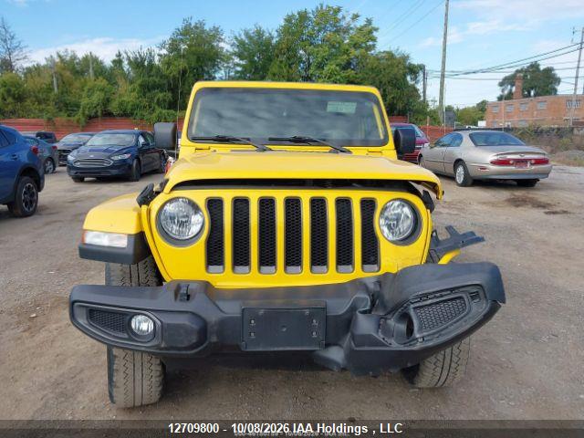 Продаж на аукціоні авто 2021 Jeep Wrangler Unlimited Sahara, vin: 1C4HJXEN2MW620249, номер лоту: 12709800