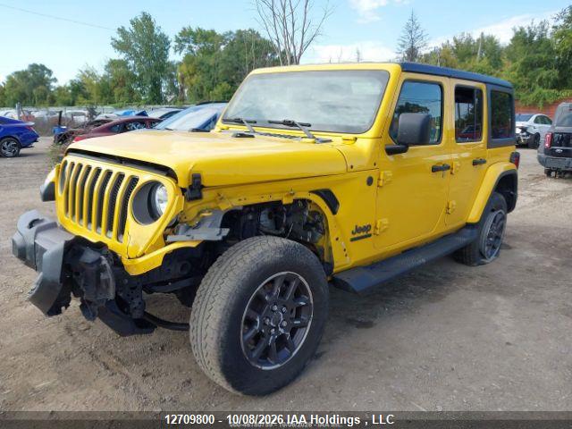 Продаж на аукціоні авто 2021 Jeep Wrangler Unlimited Sahara, vin: 1C4HJXEN2MW620249, номер лоту: 12709800