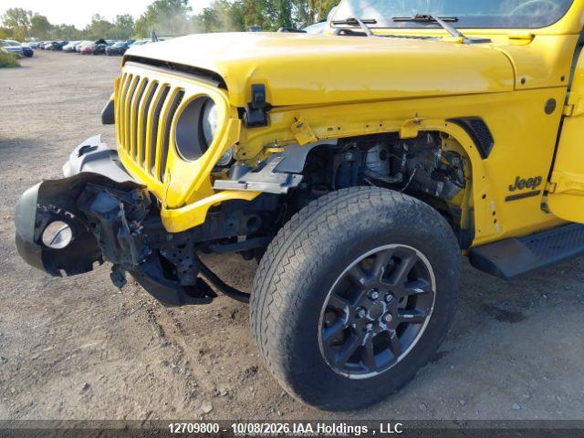 Продаж на аукціоні авто 2021 Jeep Wrangler Unlimited Sahara, vin: 1C4HJXEN2MW620249, номер лоту: 12709800